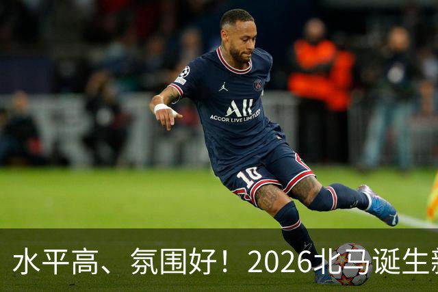 水平高、氛围好！2026北马诞生新纪录，赛事组织获选手认可