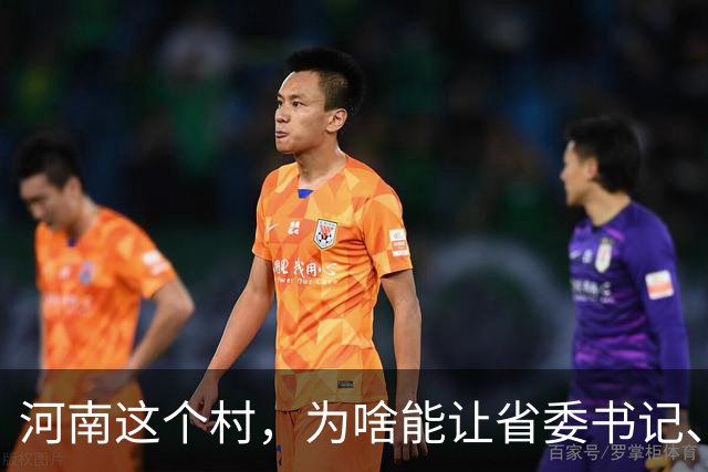河南这个村，为啥能让省委书记、代省长一起去现场调研？