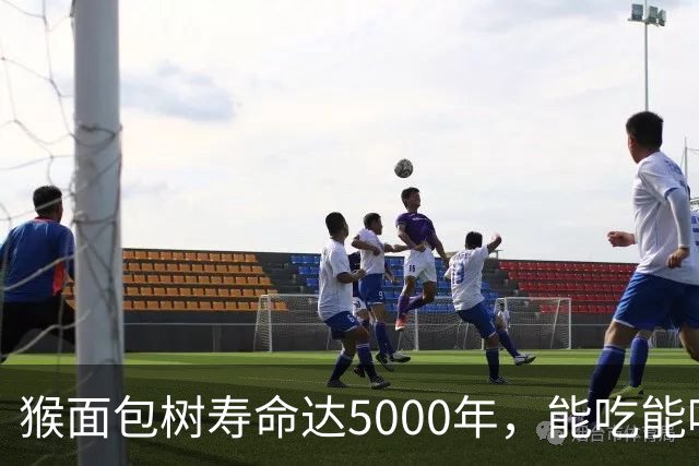 猴面包树寿命达5000年，能吃能喝又能住，为何引进中国却大变样？