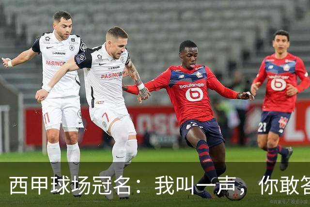 西甲球场冠名：我叫一声，你敢答应吗？
