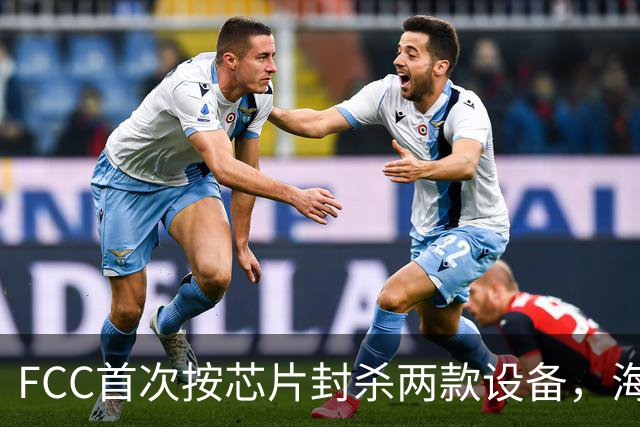 FCC首次按芯片封杀两款设备，海思SoC成焦点